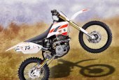 2012 Qlink DB 250 photo